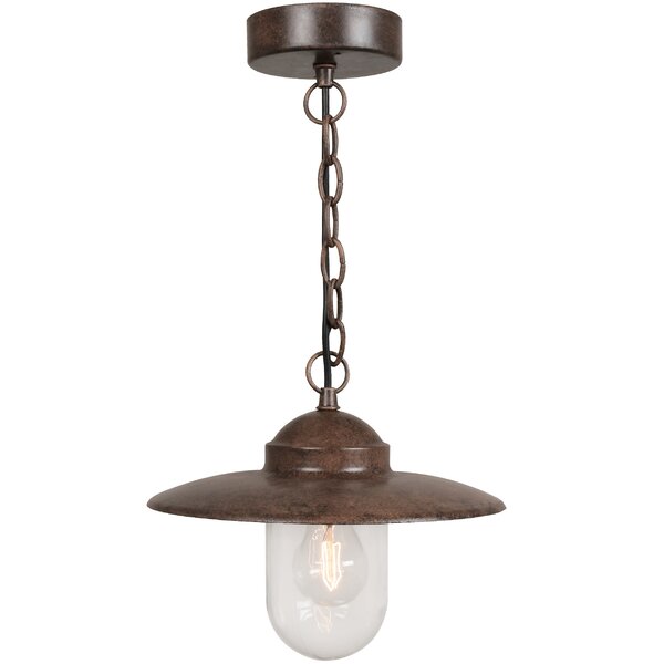 Outdoor hanging light deals fixture